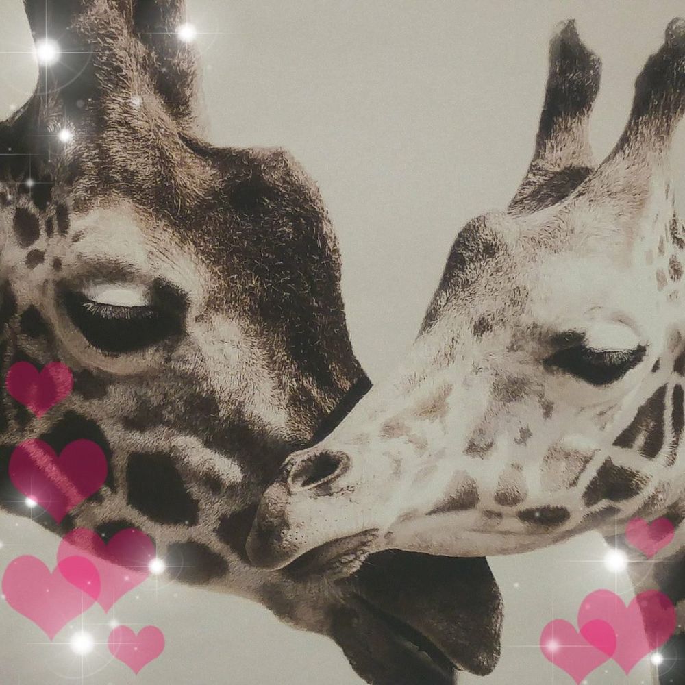 Meet your Posher, Tina